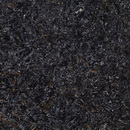 AS955 Aster
